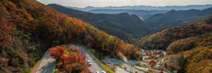 Güney Kore 2050 Yılına Kadar 3 Milyar Ağaç Dikecek