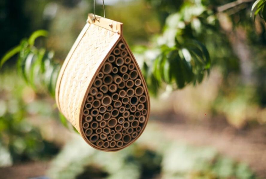 Bal Arısı Sanat Enstalasyonu Sürdürülebilirliğe Dikkat Çekti