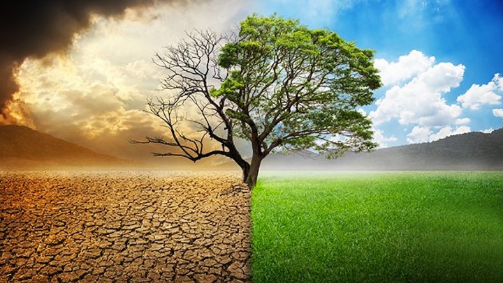 İklim Finansmanı Hızlandırma (CFA) Programı İçin Başvuru Süresi Uzatıldı