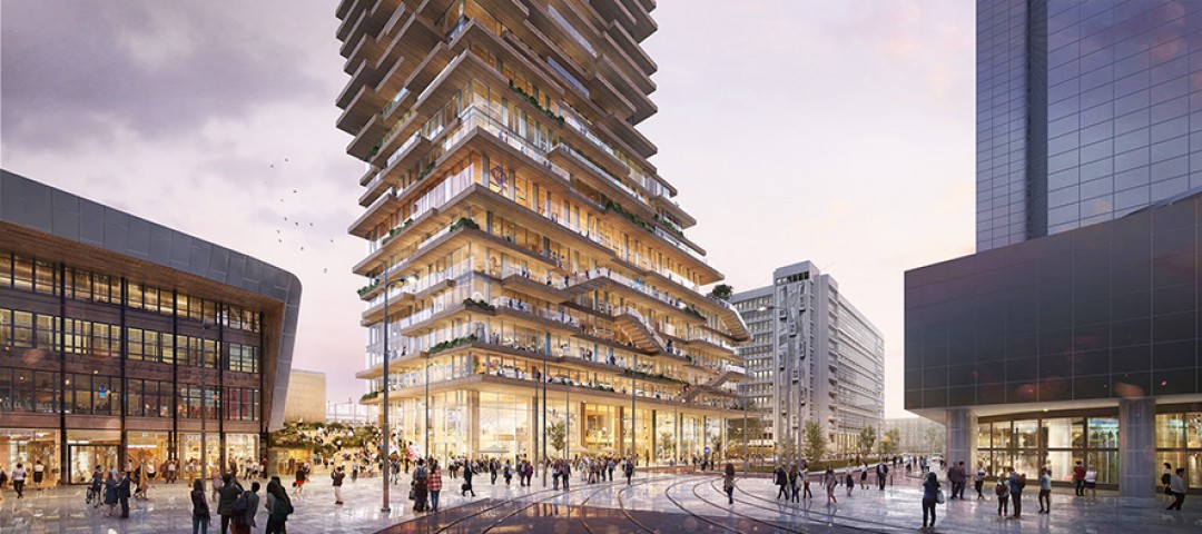 Rotterdam için “Ağaç Bir Ev”