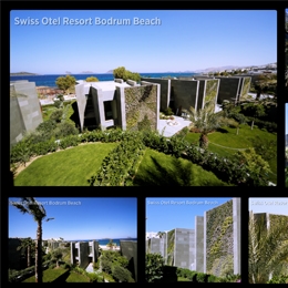 Silvanus Dikey Bahçeler, Türkiye’nin En Büyük Dikey bahçesini Swissotel Resort Bodrum Beach’te Yapıyor