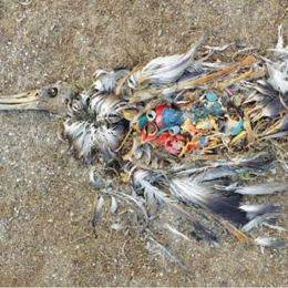 Yığınları Fotoğraflamayı Mümkün Kılan Sanatçı; Chris Jordan