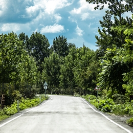 Silindirle Sıkıştırılmış Beton