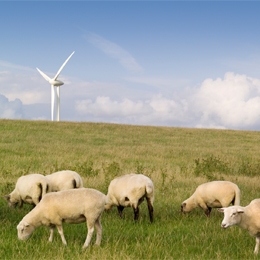 Rüzgar Enerjisi Hakkında Doğru Bilinen Yanlışlar