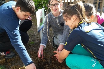 ​İGDAŞ’tan Çevre Bilincini Okullara Taşıyan Erguvan Kokulu Proje