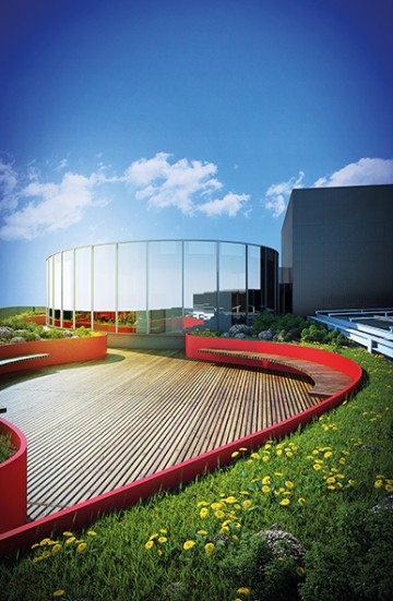 Doğa İçinde Sakin Bir Ortamda