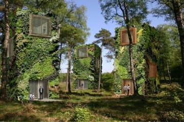 Arazi Sahipliğini Ortadan Kaldıran Orman Şehirler