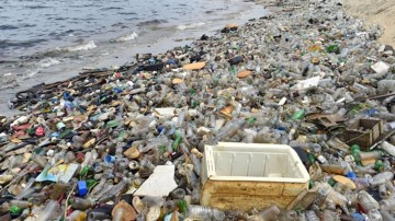 Dünya 'Plastik Gezegen' Olma Yolunda İlerliyor