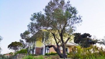 Metruk Evden Zeytin Okuluna Ekolojik Yaşam ...