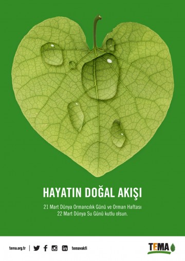 Orman Varsa  Su da Vardır !