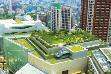 ​Bitkilendirilmiş Yeşil Çatı Uygulama Kuralları ve Faydaları​