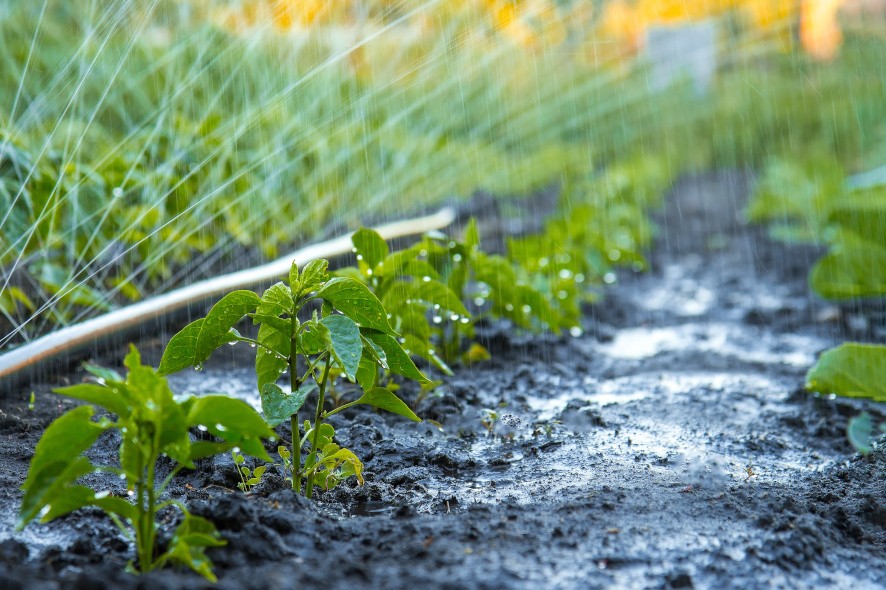 Paris İklim Anlaşması