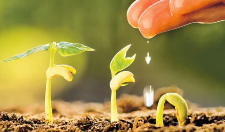 Tarımsal Üretimin Geleceği Tehlike Altında