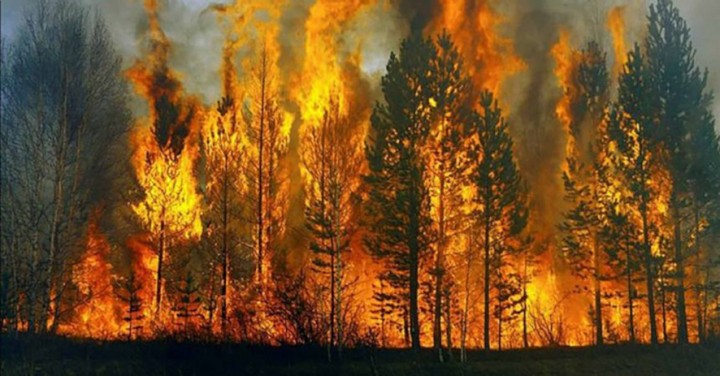Orman Yangınlarına Müdahale İçin Uçak Filomuzu Genişletmeliyiz