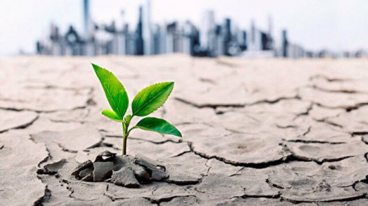 Sürdürülebilirlikte Dünya Liginde Yer Alan Bir Türkiye