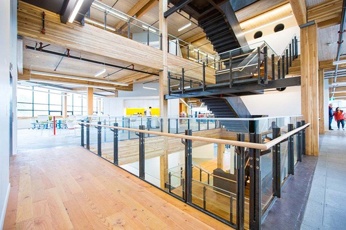 Biyofilik Tasarım İlkeleri