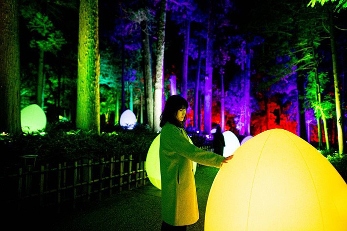 Tarihi Japon Bahçesinde TeamLab Tarafından Tasarlanan Sergi