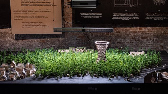 Sürdürülebilir Proje Örnekleri