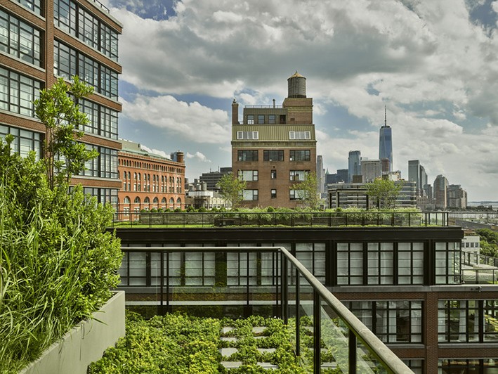 Biyofilik Tasarım Nedir? Biyofilik Tasarım Nedir?