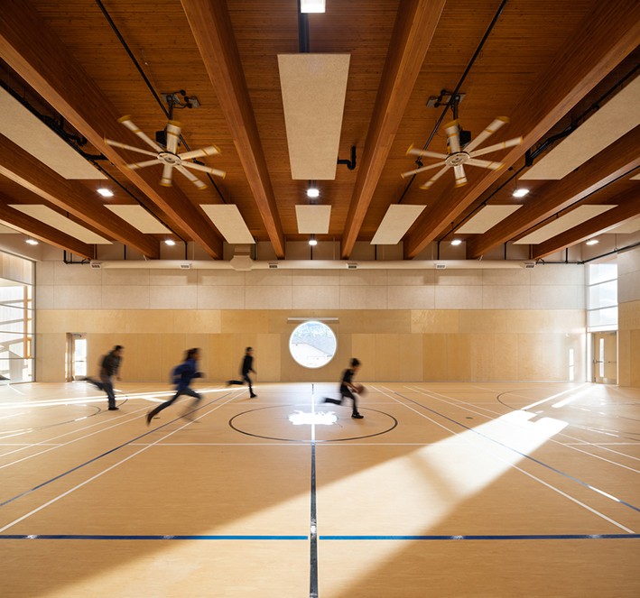 Biophilic Design Principles