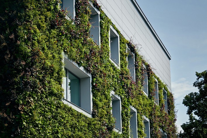 Green Wall and Sustainability
