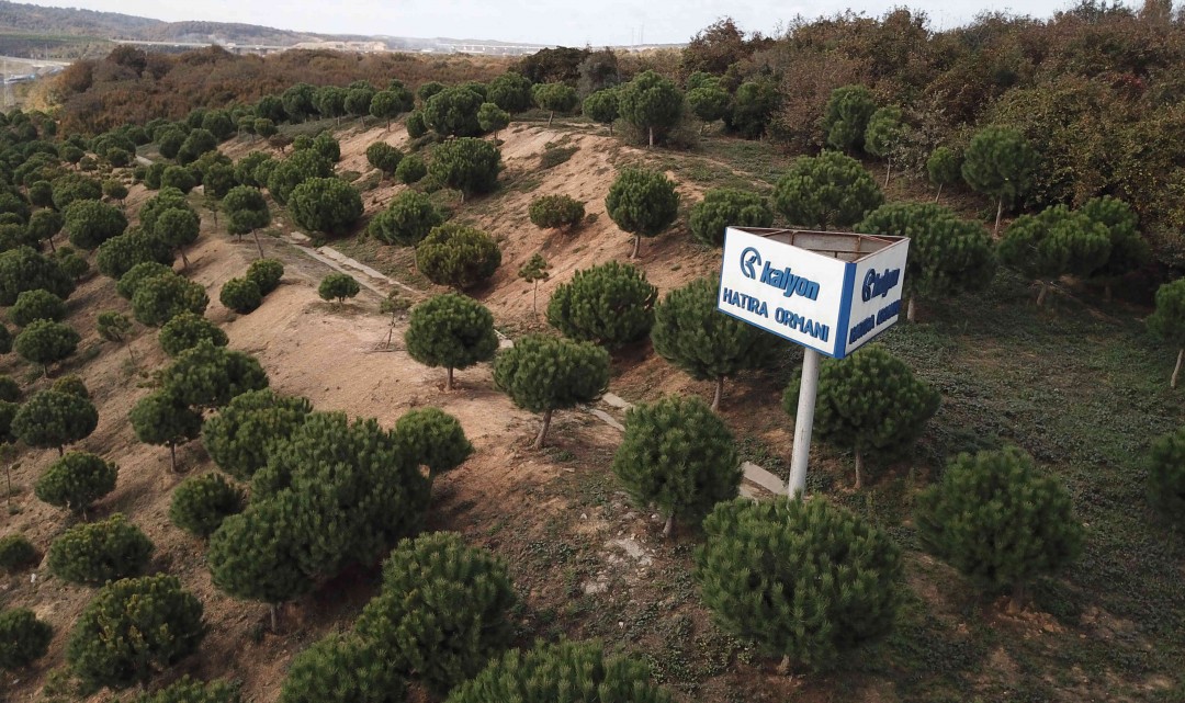 Kalyon Holding orman