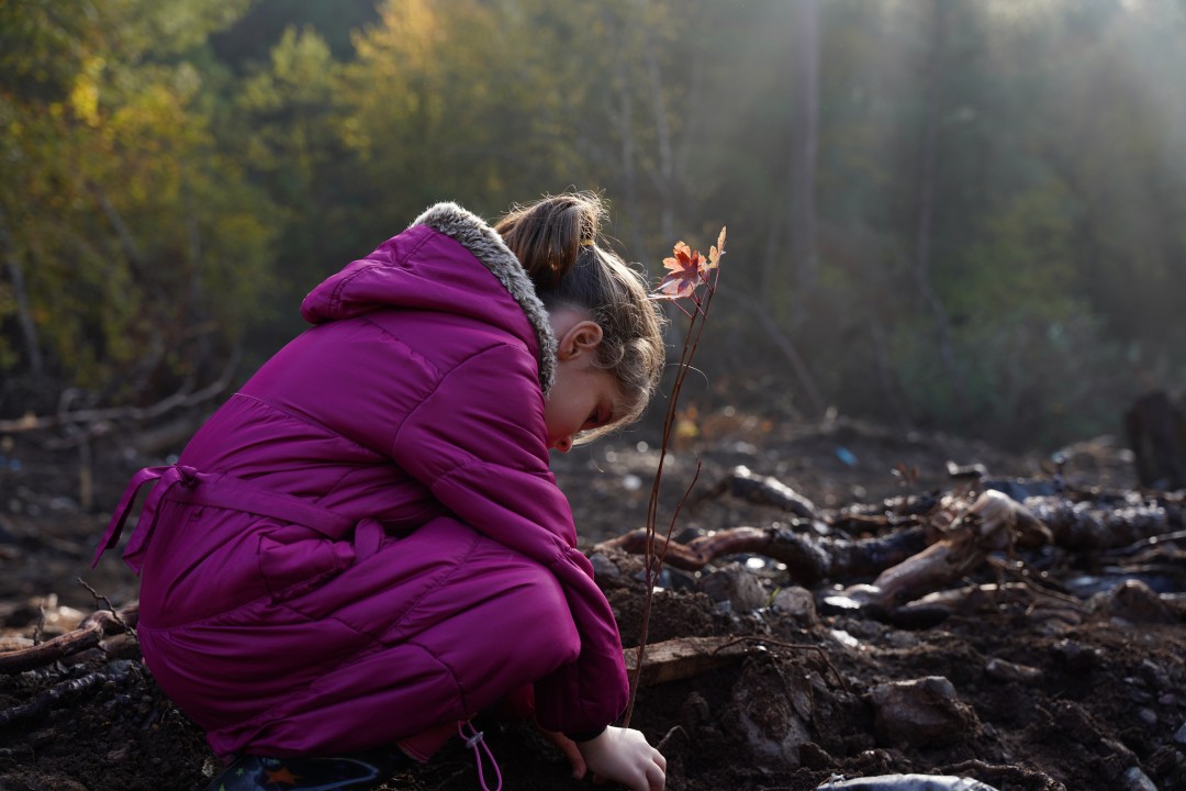 Kızılbük GYO ağaç dikimi Kızılbük GYO ağaç dikimi