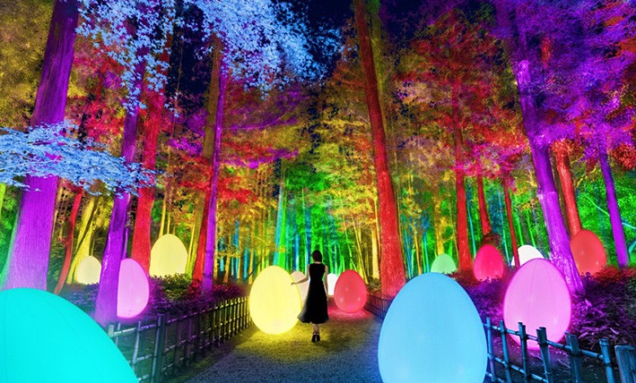 Etkileşimli Projeksiyonlar Tarihi Japon Bahçesini Rengarenk Bir Kaleydoskopa Dönüştürüyor