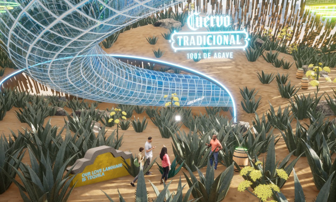 Agave bitkileri Cuervo Discovery Garden'da yetiştirilir ve hasat edilir Agave bitkileri Cuervo Discovery Garden'da yetiştirilir ve hasat edilir