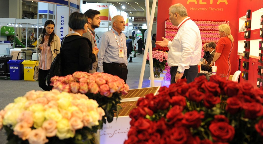 The Flower and Plant Show