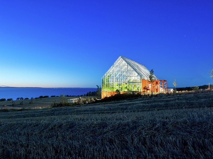 Sera Nedir? Sera Nedir?