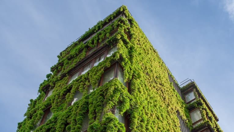 Yeşil Bina İnşa Etmek
