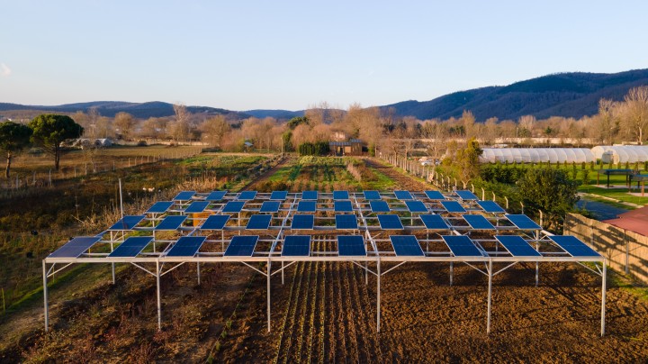 Enerjisa Üretim Komşuköy İş Birliğiyle Agivoltaik Tarıma Başlıyor