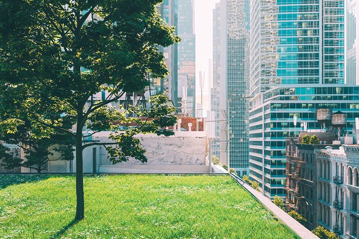 XPS Yalıtımı ve Sürdürülebilirlik