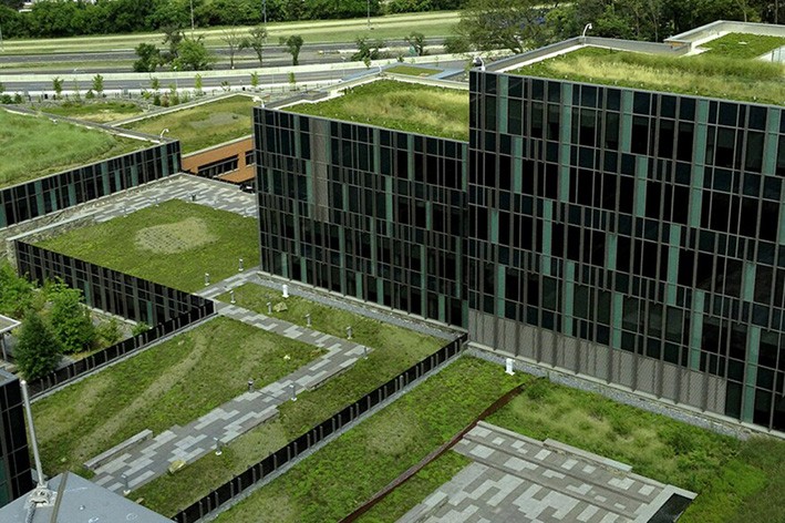 Sürdürülebilir Çatı Örnekleri