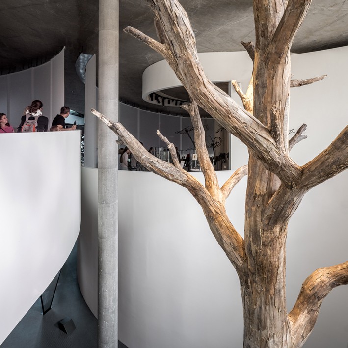 Organik Formlu Müze Organik Formlu Müze