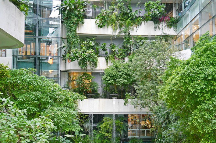 Yeşilin 50 Tonu: Mimaride Yeşil Yıkamanın Çelişkileri