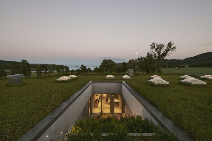 Norveç'teki Villayı Gizleyen Yeşil Çatı