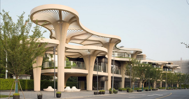 Biyofilik Tasarım İlkeleriyle Tasarlanmış Perakende Alanı