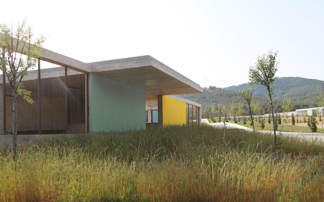 Pako Sokak Hayvanları Sosyal Yaşam Kampüsü