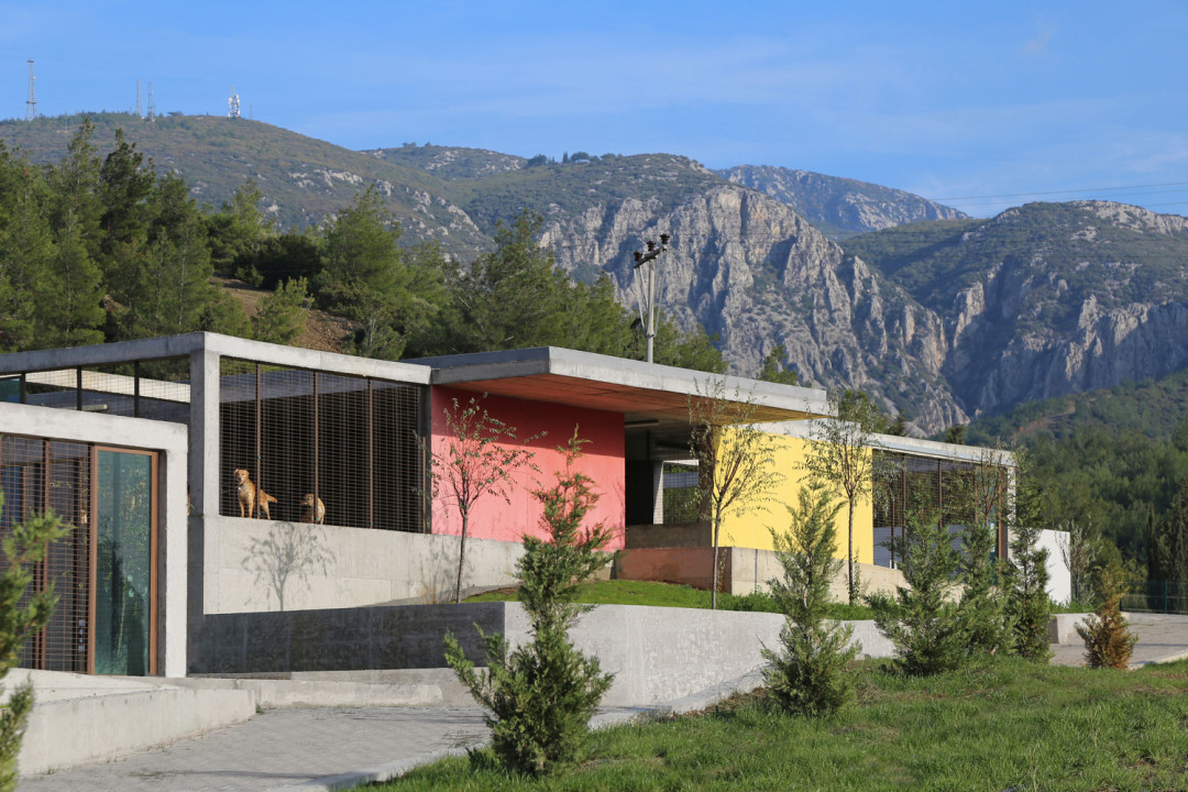 Pako Sokak Hayvanları Sosyal Yaşam Kampüsü