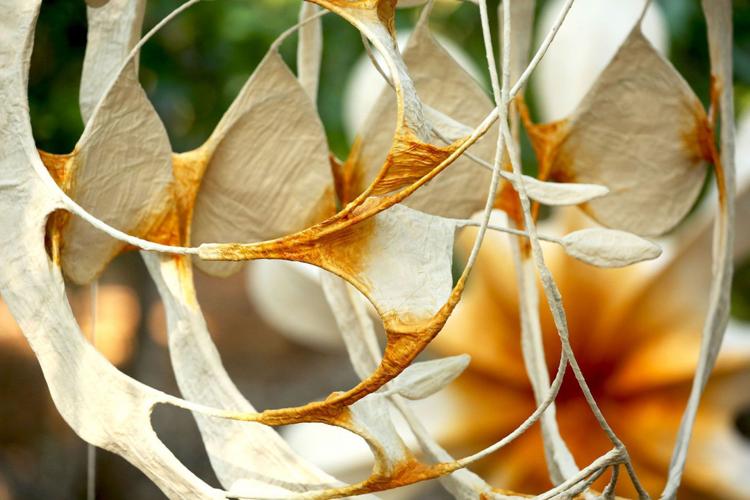 Ranjani Shettar'ın Karmaşık Organik Heykeller Ranjani Shettar'ın Karmaşık Organik Heykeller