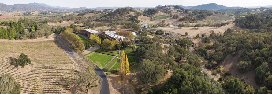 Bal Arısı Sanat Enstalasyonu Sürdürülebilirliğe Dikkat Çekti