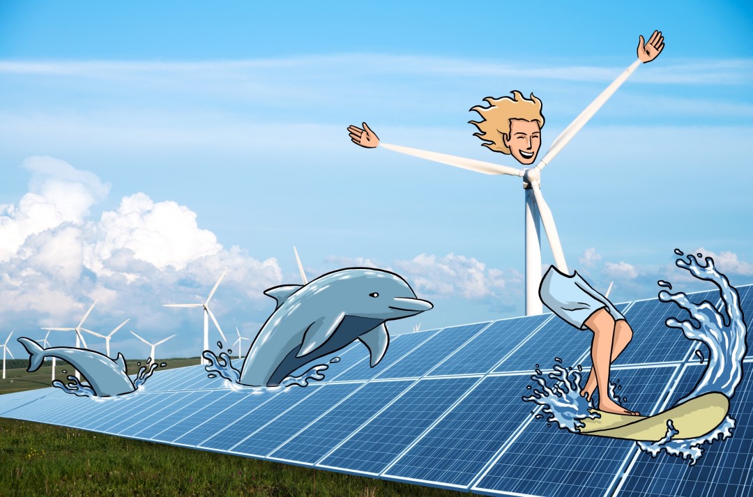 Enerjisa Robin Yayla