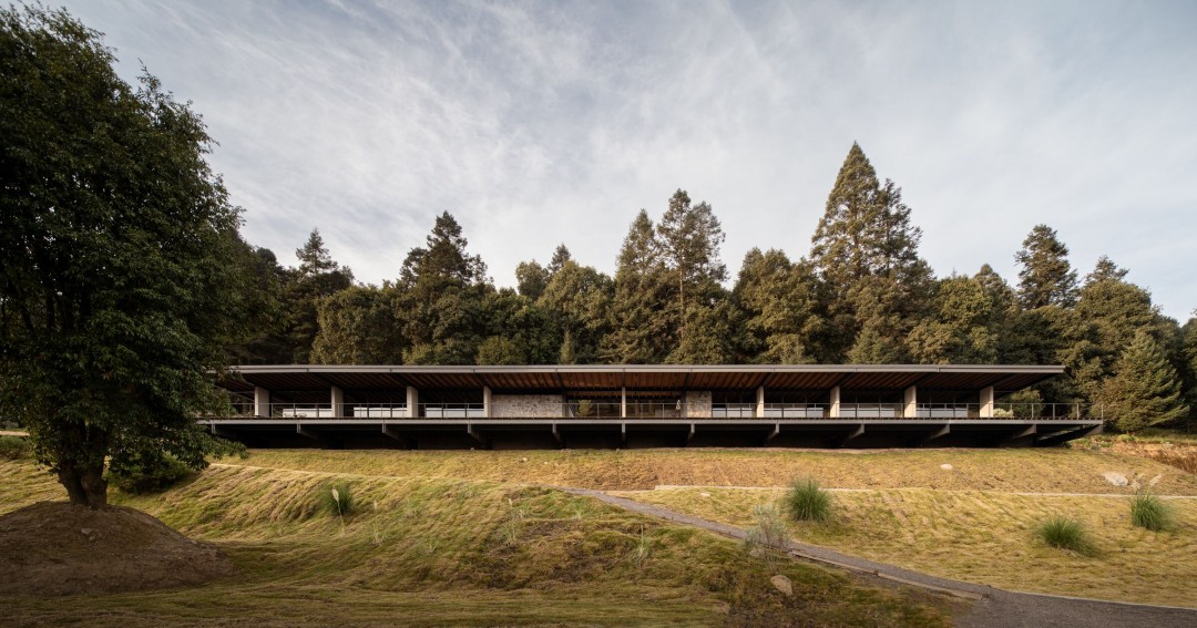 Hípico Piedra Grande