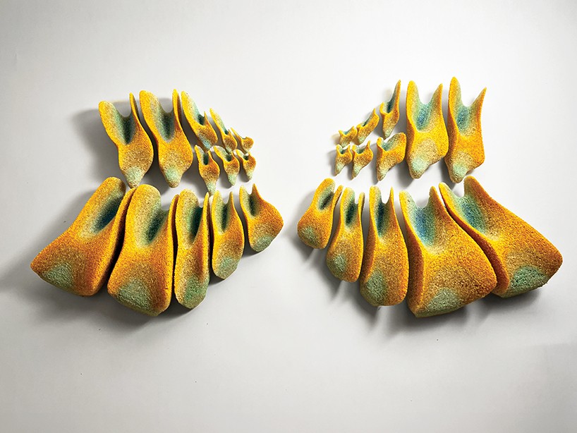 Mikroplardan Yapılan Sürdürülebilir Biyoçimento