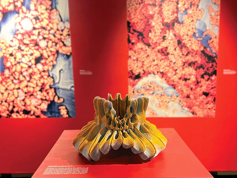 Mikroplardan Yapılan Sürdürülebilir Biyoçimento