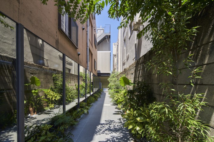 O_Building Doğayla Bulunan Yola Sarılmış Oturuyor