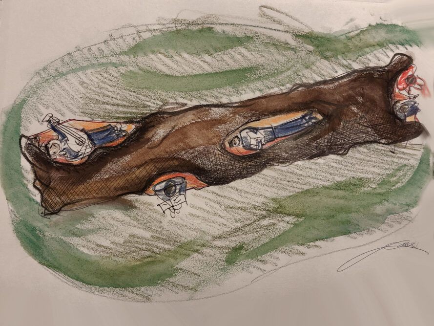 Ölü Ağaca Hayat Katan Sürdürülebilir Tasarım