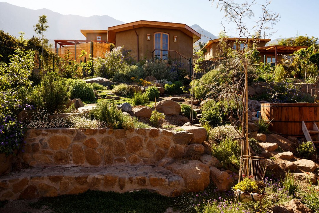 PANAL'ın Sürdürülebilir ve Yenileyici Tasarımı PANAL'ın Sürdürülebilir ve Yenileyici Tasarımı